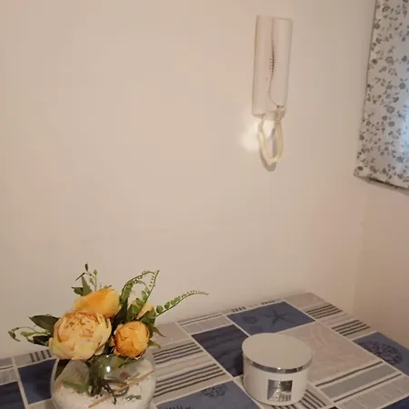 Vinko Šibenik