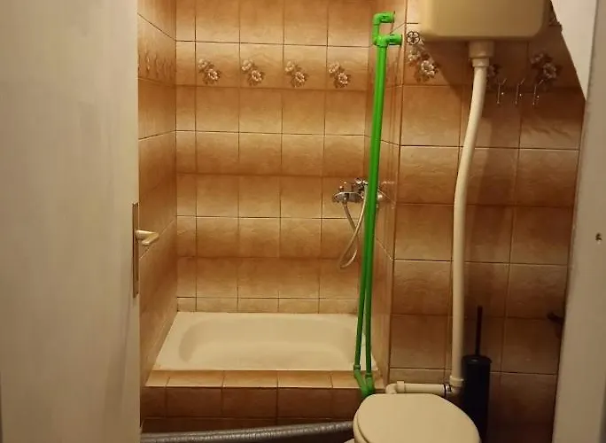 Vinko شيبينيك