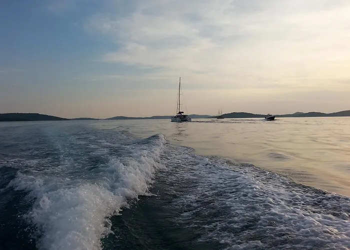 Vinko شيبينيك